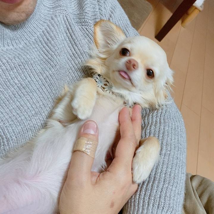 8550f9c0 879f 4c34 8207 66cf81f761d6 1613283754694