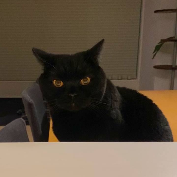 85512130 3083 46ad b37c 65e8488a1cfe 1614691449261