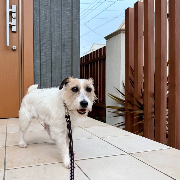 8551282d 7e56 4431 8ded f6666210b0c7 1772441350392