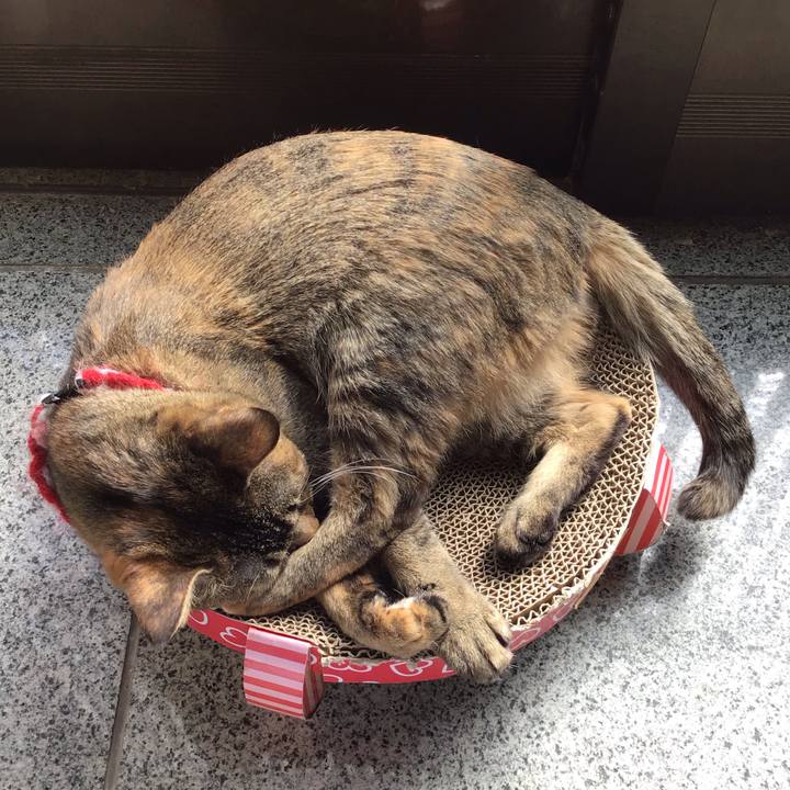 855151a1 9792 459a bc42 bea95ca1c072 1613018768953