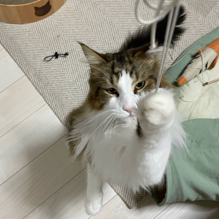 8551a12c a23b 4414 aa06 f2c915b50181 1681729412703