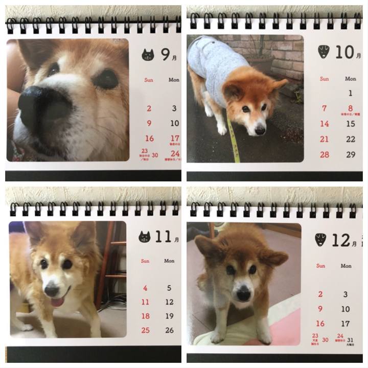 8551aaa8 d595 4d7d abce 01f6ca4c0a91 1514105252665