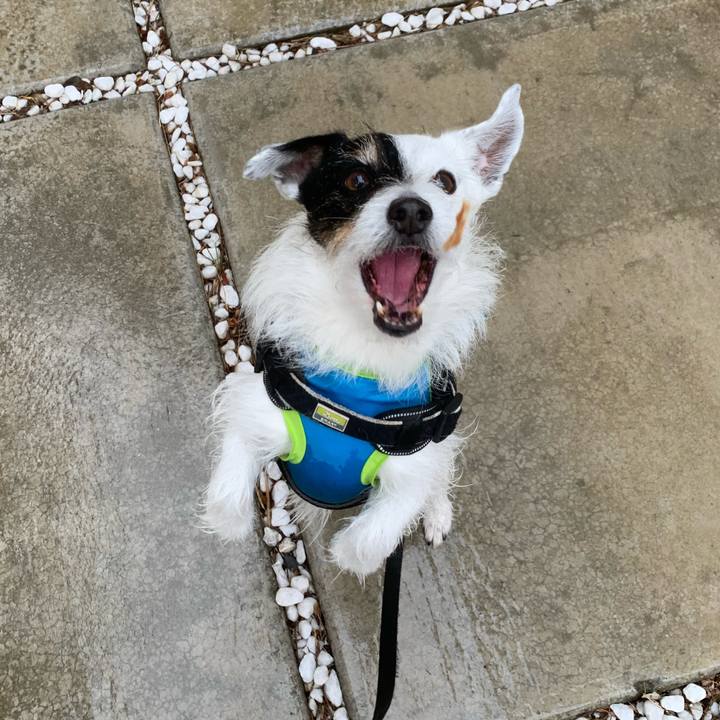 8551eccd a152 41a5 8e9a d851b18b770c 1743552337071