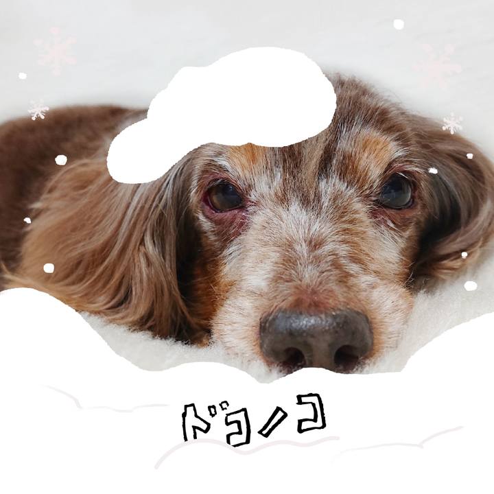 85522836 97b4 496c 8376 2cb979e08343 1771913056604