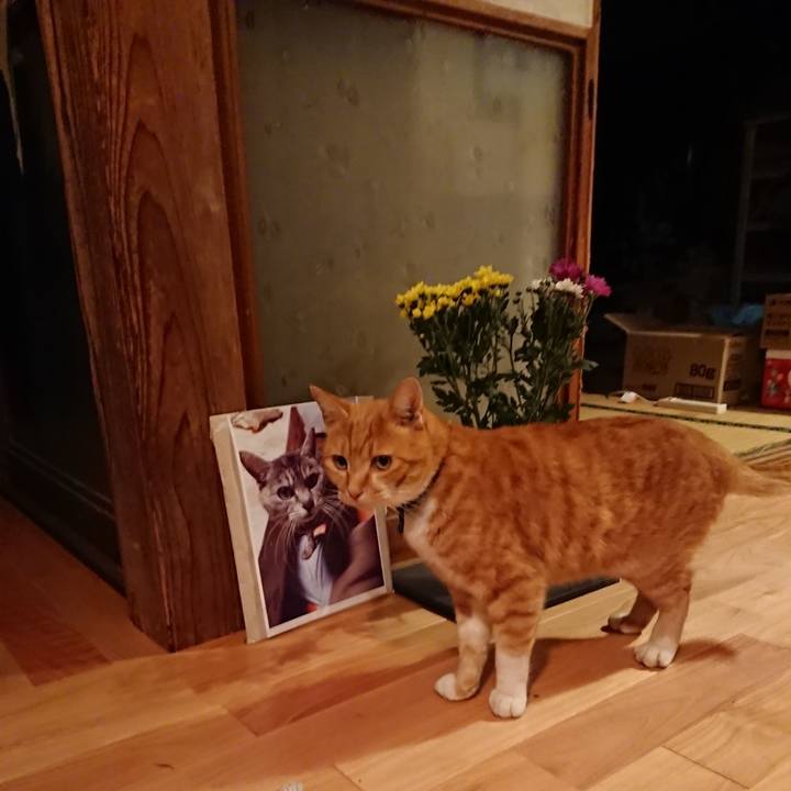 8552542c 3055 4b8b 8352 22b3864f7f88 1602492694223