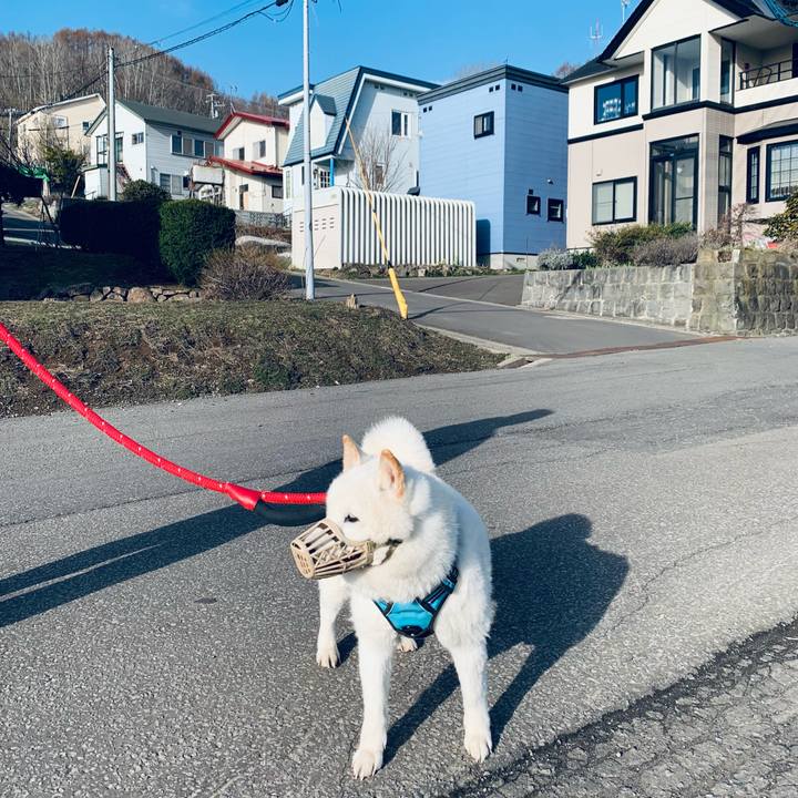 855260f4 8d92 4c0b a62d bf16731e41c7 1681338297765