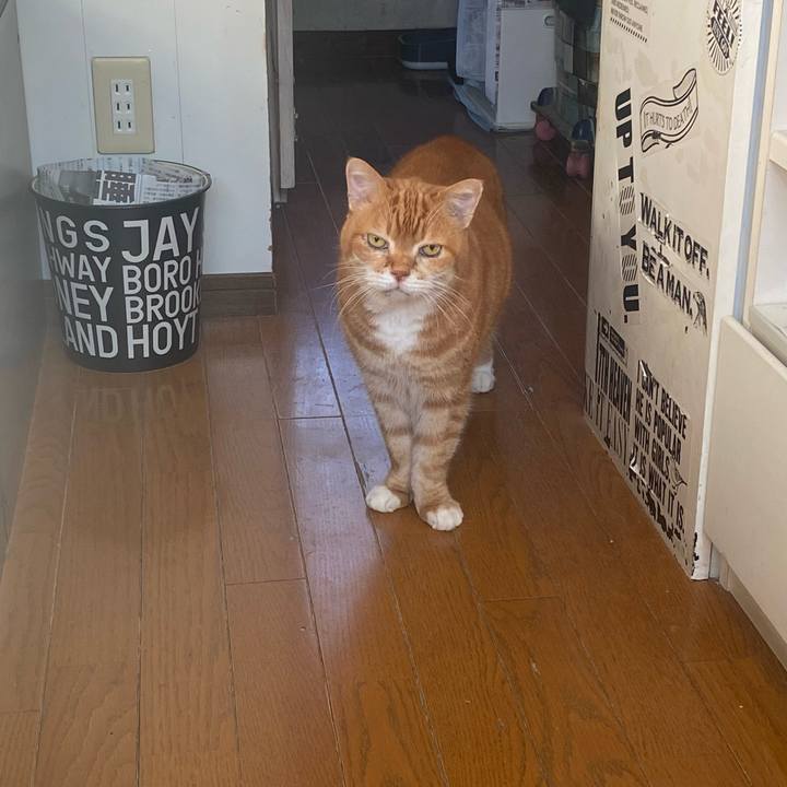 85527afc 79ed 491e b23d d4a2a2a93db9 1736558743561