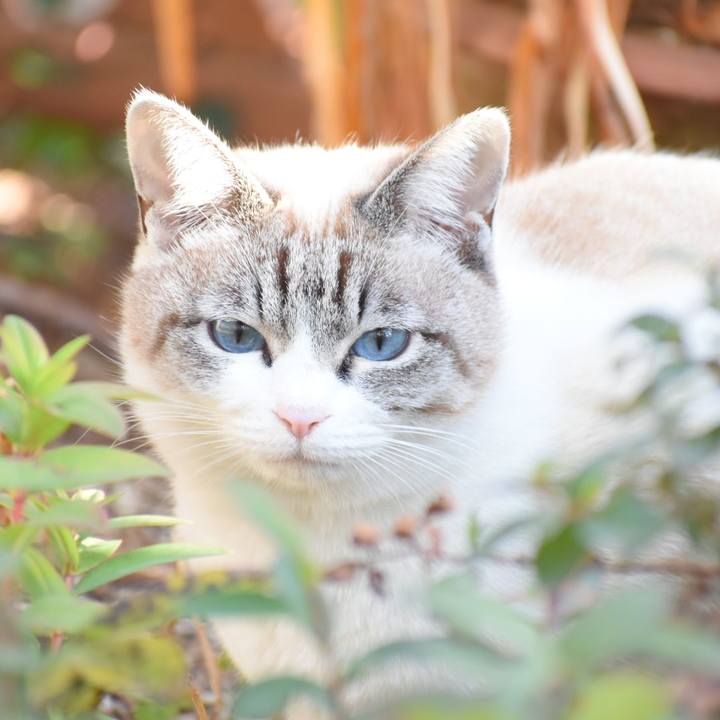 855280f4 6bb2 432a b572 e8be2015af35 1520759295704