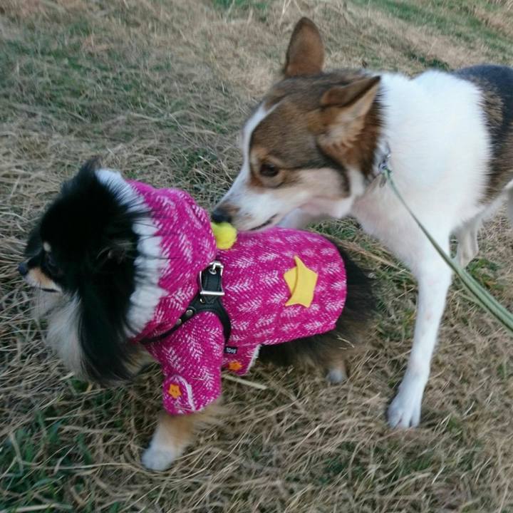 8552aab9 9baf 4dfc b04c 6e2a06025791 1545745868704