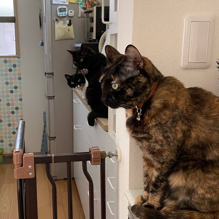 8552b0b2 413f 47a0 b4c5 f63d56f9234e 1589944234330