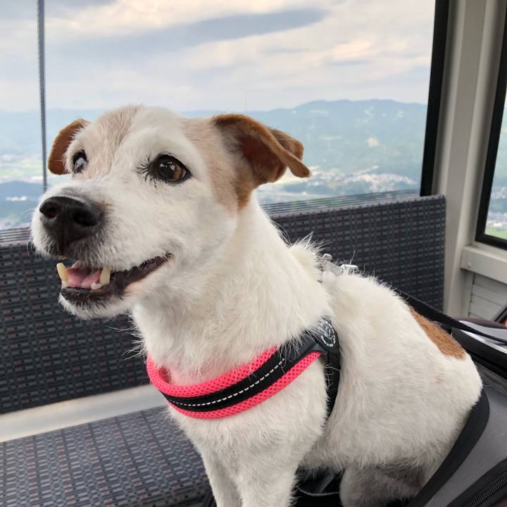 855315c3 1fce 4ffb a9f3 cc8c288f638a 1536408768201