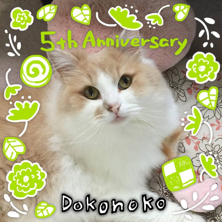 855317e7 353f 44b5 9db8 17e4f7b2f85f 1622957484923