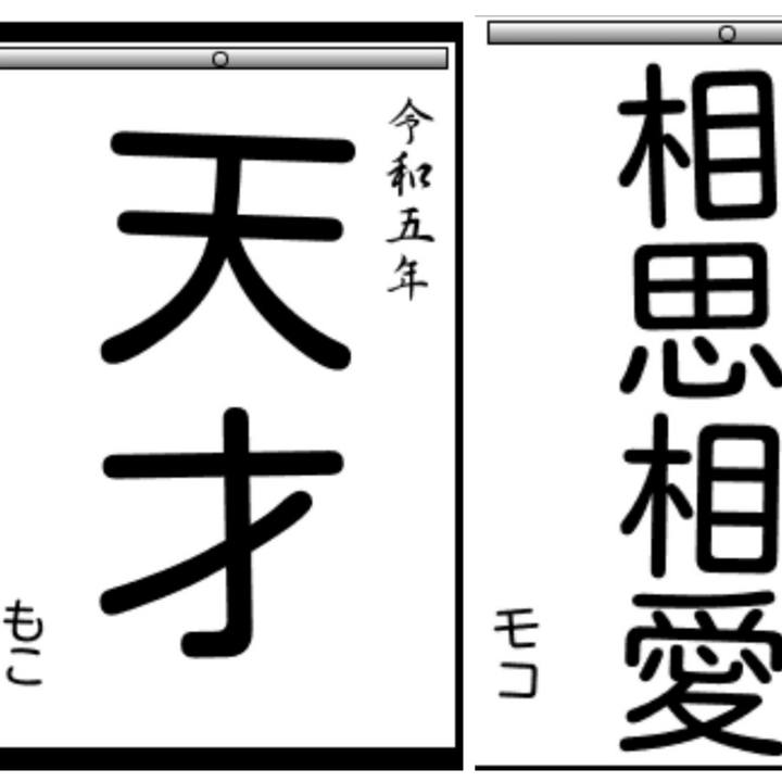 85533145 3475 4b8a 9d96 402c9ce27240 1672727008987