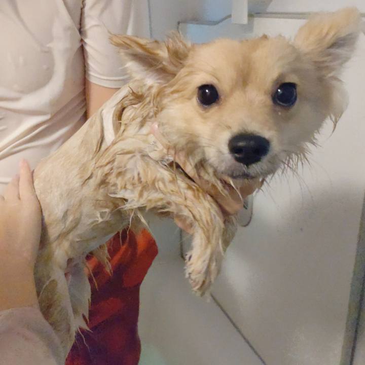 85533685 24fe 4c35 9896 deb1da8a8fcd 1732345668484