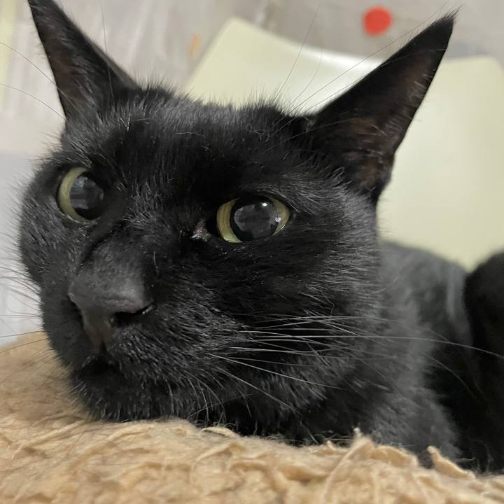 855369a2 0fcd 4a46 a256 269242dde7cf 1697805354681