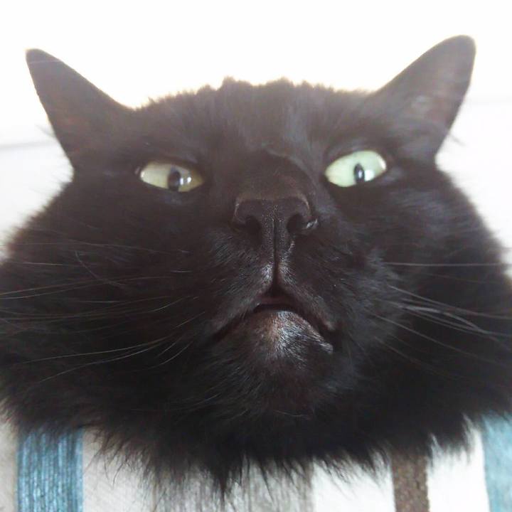 8553bd52 6215 407b 8211 829f5496c18e 1529727470564