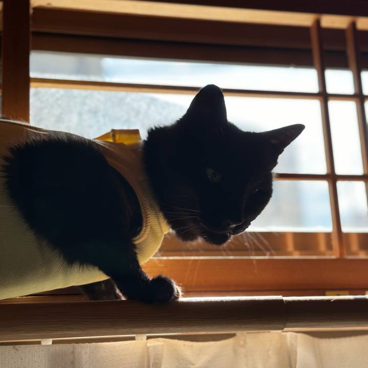 8553d91e 5ba2 4f40 a697 cb63e7a8ba2a 1717464229762