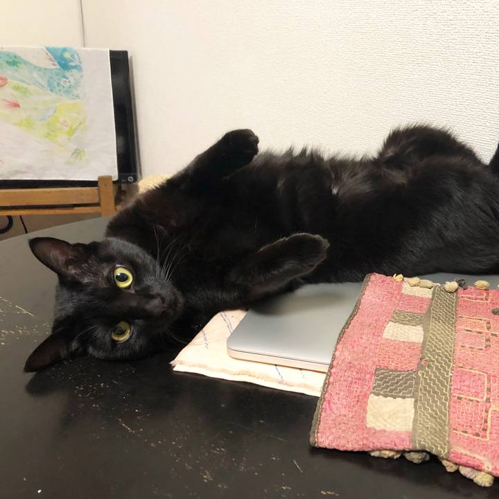 85542663 88ad 4e36 bb79 1f8b8927b34a 1548804902950