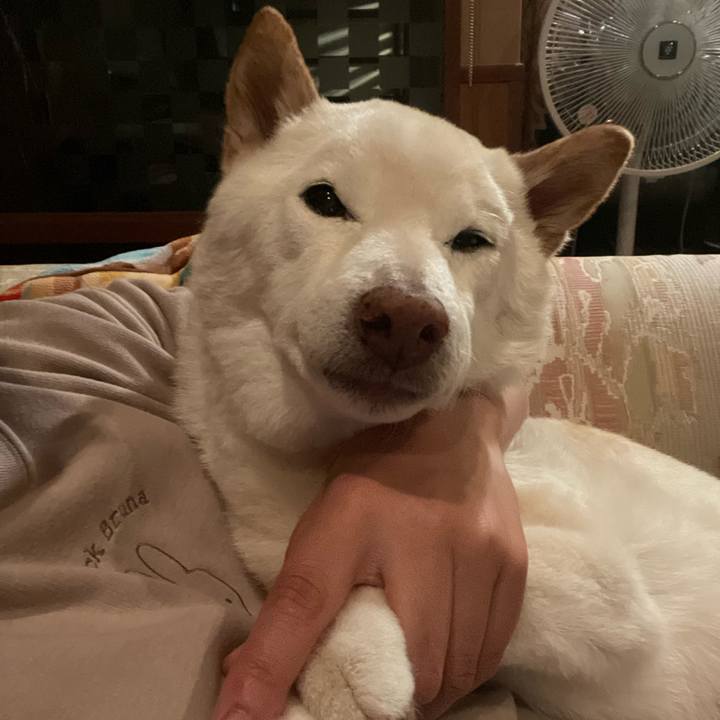 85543b26 a505 4670 a1c2 6c7f09aa21cf 1647011123220