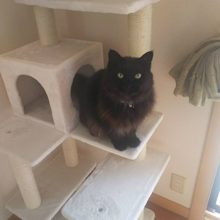 85543d20 3a2a 441d 8d7c cf988243f67f 1545701561153