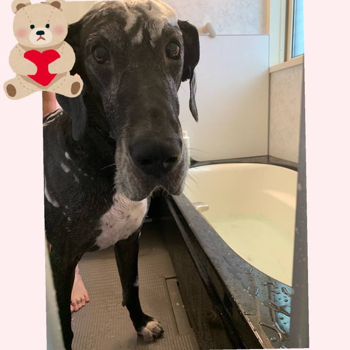 85546e7a 707b 4a77 b540 b3f1a391c5b3 1562484458455