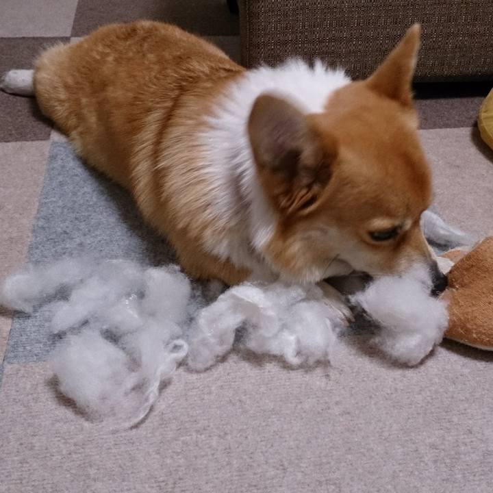 85547694 b392 4a56 9e29 17dcba49e2cd 1557756745578