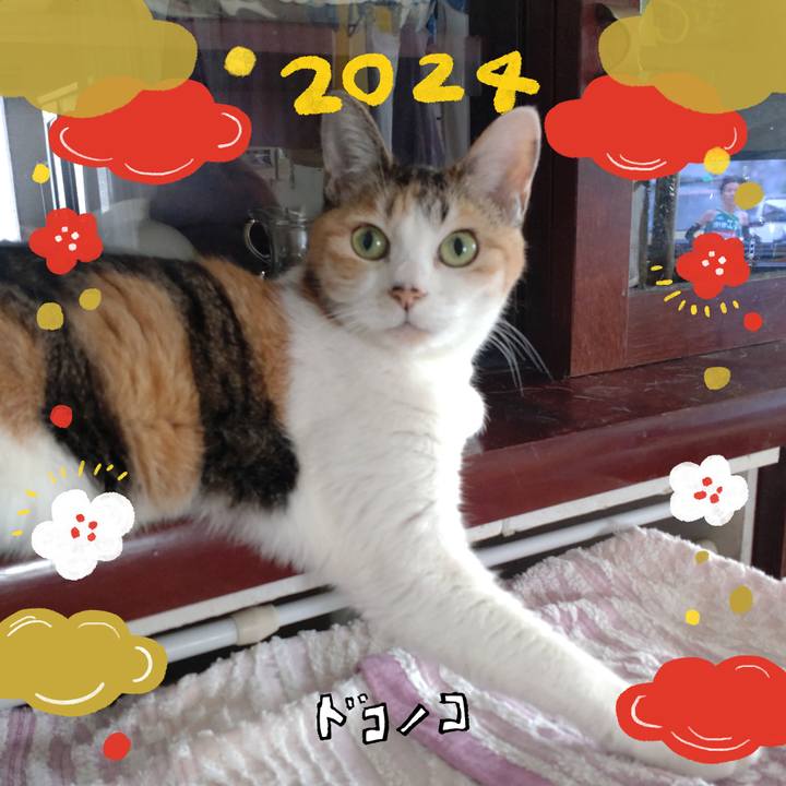 8554b3a8 78af 498d 951c 73c59c3ce36c 1704168016068