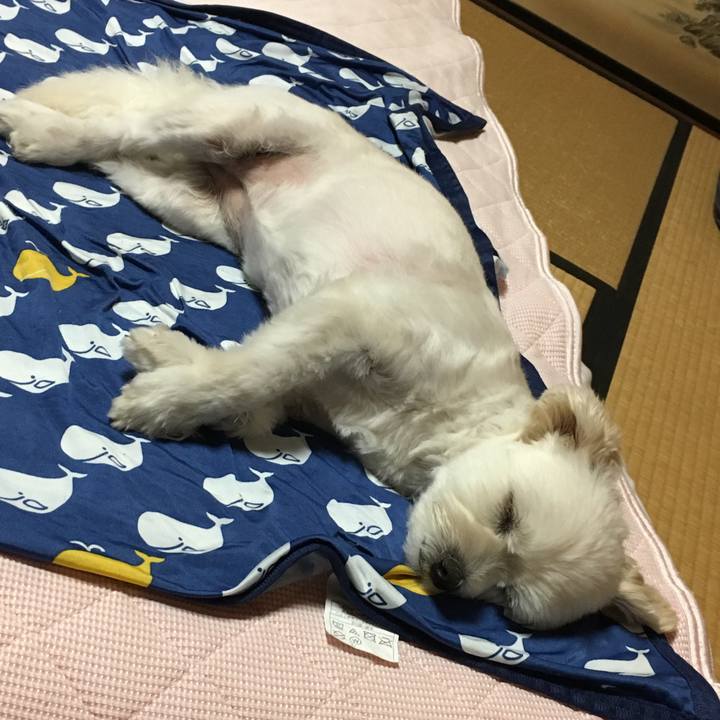 8554f02d da95 4d05 ad71 d88c592ac081 1531219707865