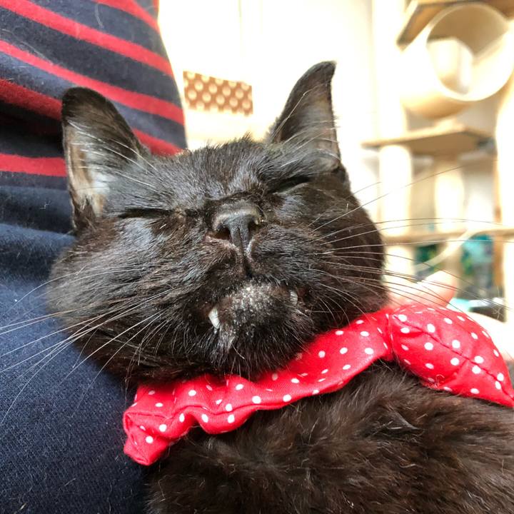 8554f42f 5d71 48ff 811d f0fc90d2ccd3 1558429275024