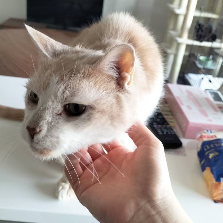 855523e0 a544 4b99 aa42 88260f1e1bfd 1714082896698