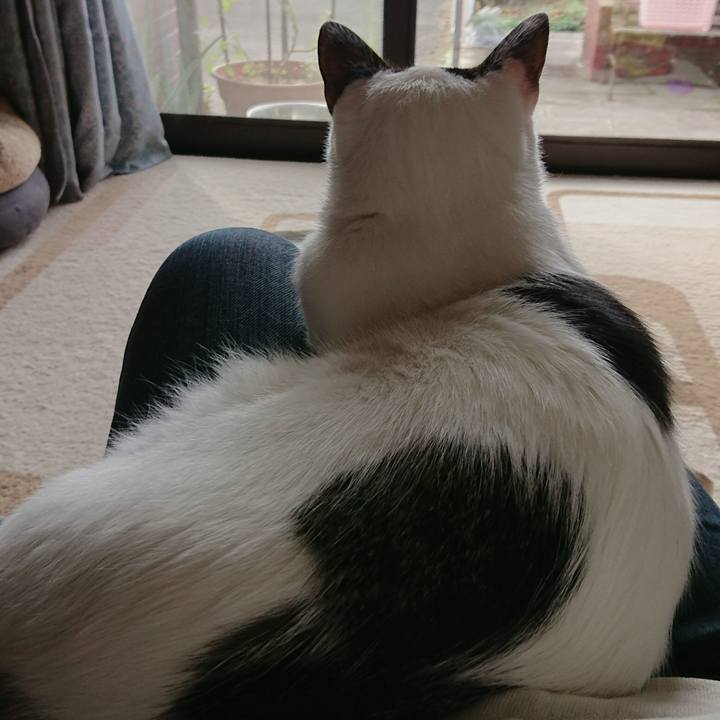 855548d4 5954 4f7a 8bd0 31817ae7426c 1509864651098