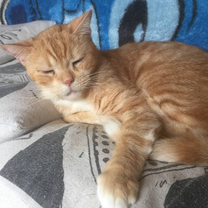 85554b3c df16 4935 98fe 588d40a72c4f 1572745253136