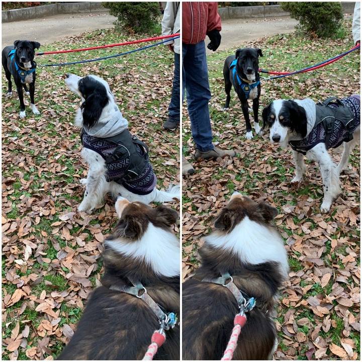 85555477 779d 4988 b1d3 11cdbd4abac1 1607472682924