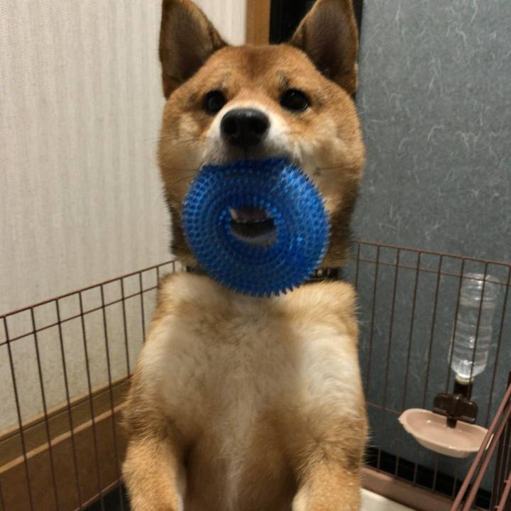 855563f5 1dc6 4b7e 867c 814798ffbc09 1522835374878