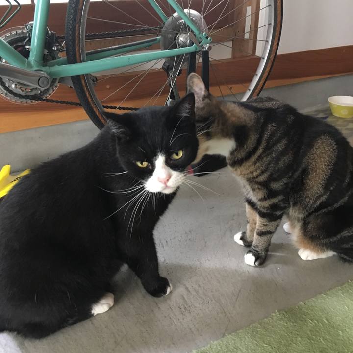 855566c3 423f 44b6 ba1f 31b15cbc7548 1536107033216