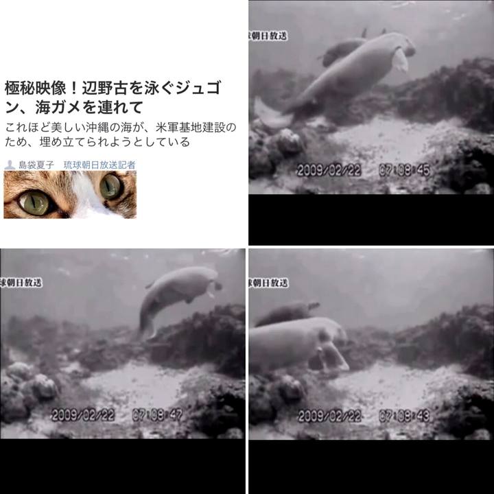 85556be5 713e 46cf 887a b7d69b138f9c 1553851131032