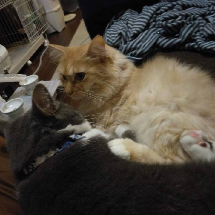 85557ae4 201d 4d1e 8ee2 84fb87eeed3b 1669116218129