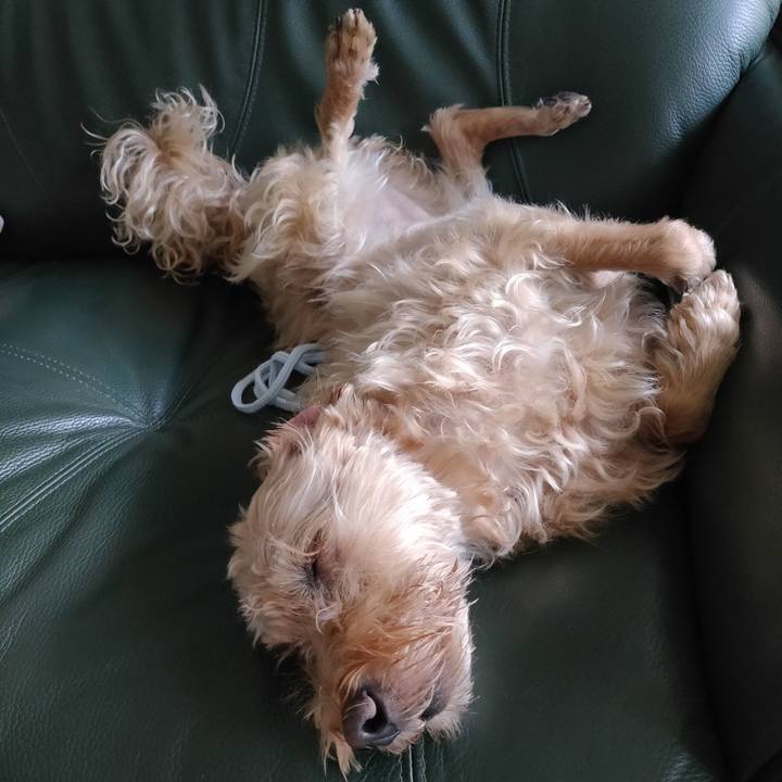 8555839d 7d26 4a1a ba68 371b9d34177f 1597099030911