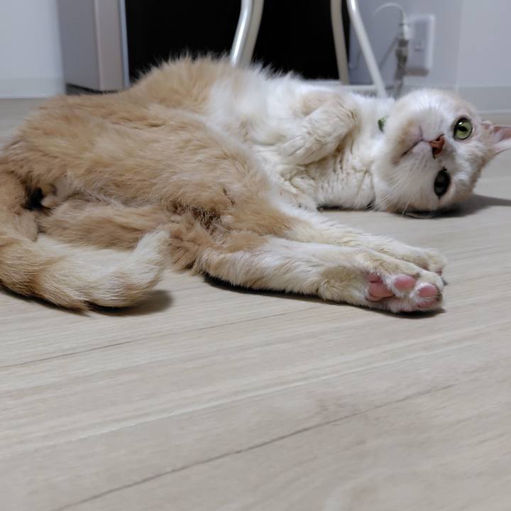 85558533 8b52 4f9f a61b 198999b04eea 1747819382774