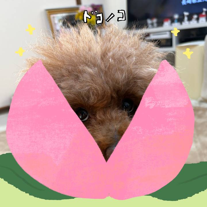 85558b50 4308 4af1 ba89 f3257d416ec5 1772150970650