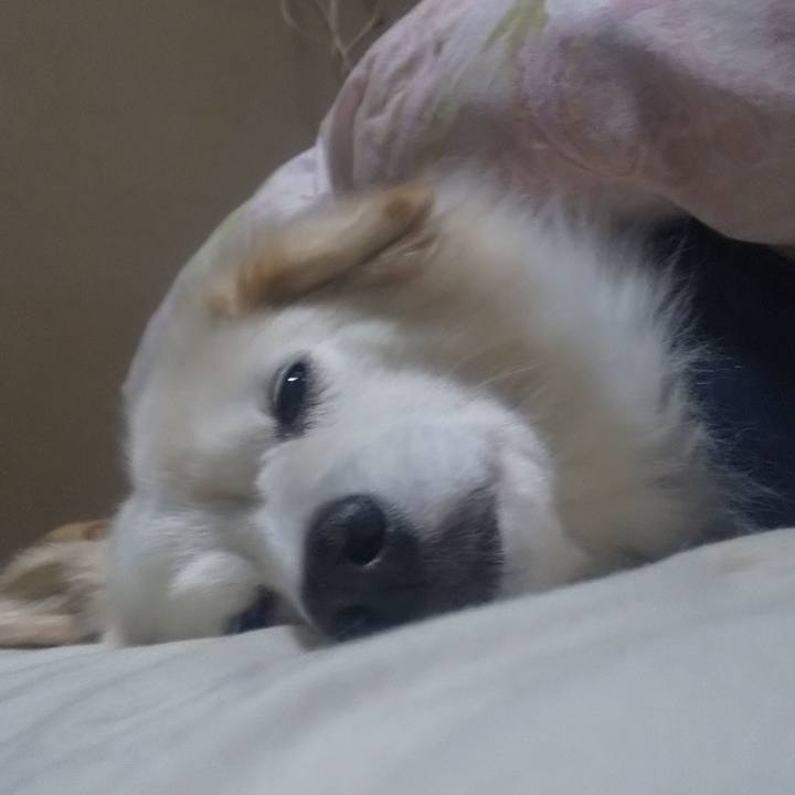 85559ddc 7035 47f4 b99f 2528448bf8b4 1639343714009