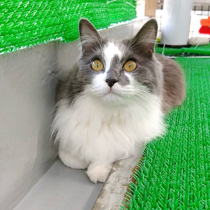 8555a5ba 42f3 46fc 86e3 316e57f8f5e4 1585976954923