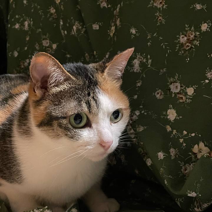 8555d7f8 a41e 435b a5f9 74018f20efd4 1682110260532