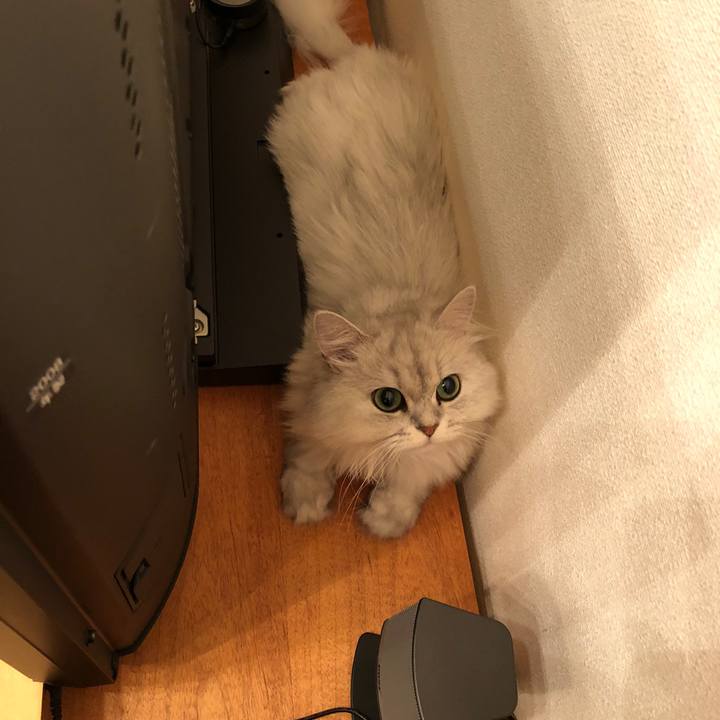 85560411 19cb 4b3c a9f5 3dc70f365531 1531287935456