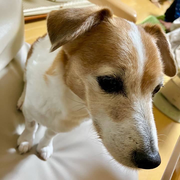 85565229 151d 48ac 87a8 55cd0664bf7e 1701517278504