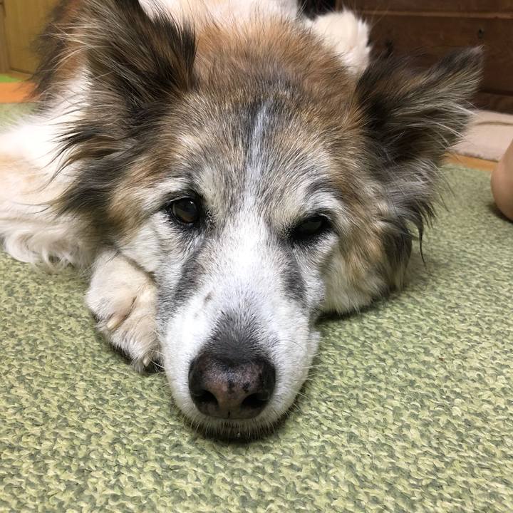 85565d37 7cb8 4f32 a291 8a25c7d8f85f 1517063813731