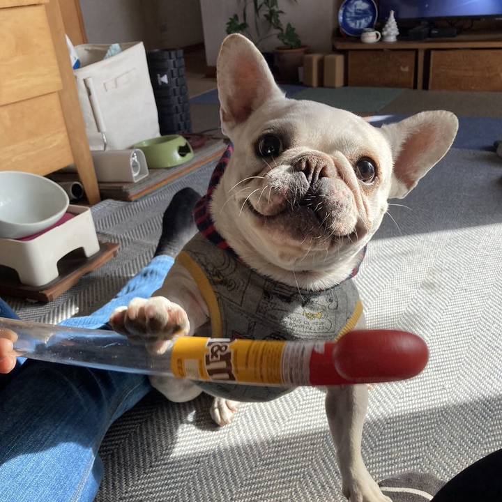 85566239 0019 4023 b26f bbf26aad0dc9 1702870718180