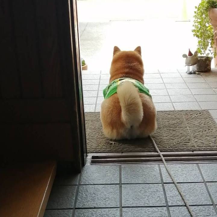 8556bf19 4ef1 44c2 b7ec a83c2a2a1f39 1586945704054