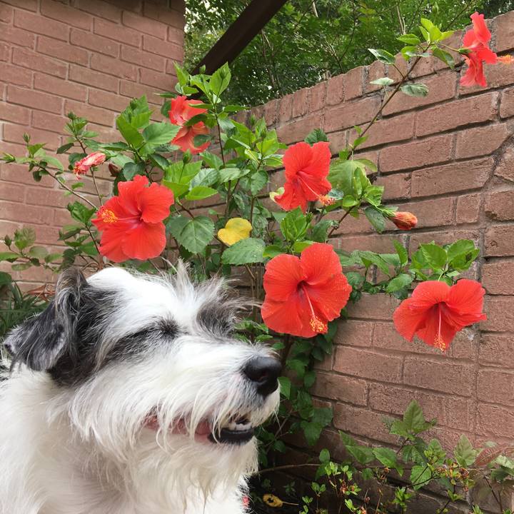 8556c08c 04a4 4269 8d76 2c903478d744 1556747416512