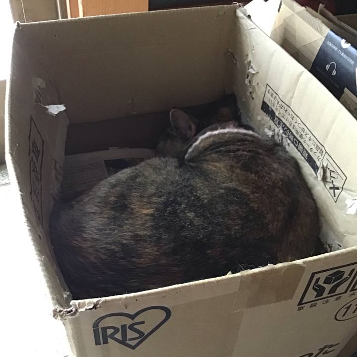 8556fa3b b8b4 4fd2 ad42 01bd5bbdb72d 1694605609002